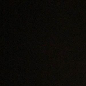 Meet your Posher, Abigail